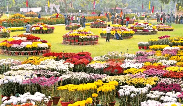 Terraced Garden
