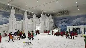 Snow Kingdom