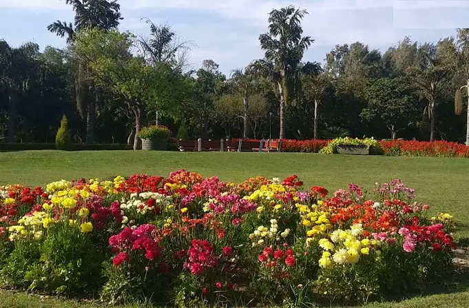 Garden of Fragrance