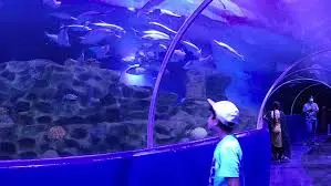 VGP Marine Kingdom