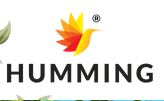 Humming Group