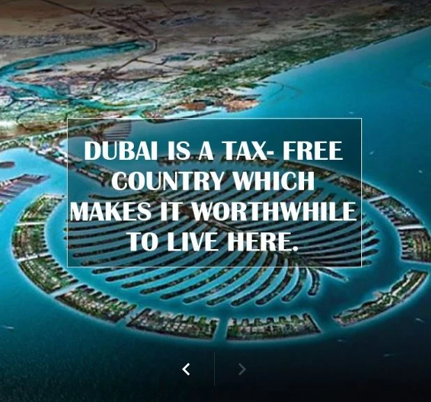 Zeenat Global Realty