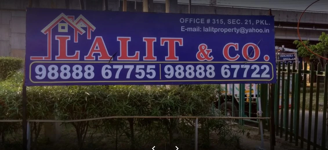 Lalit & Co