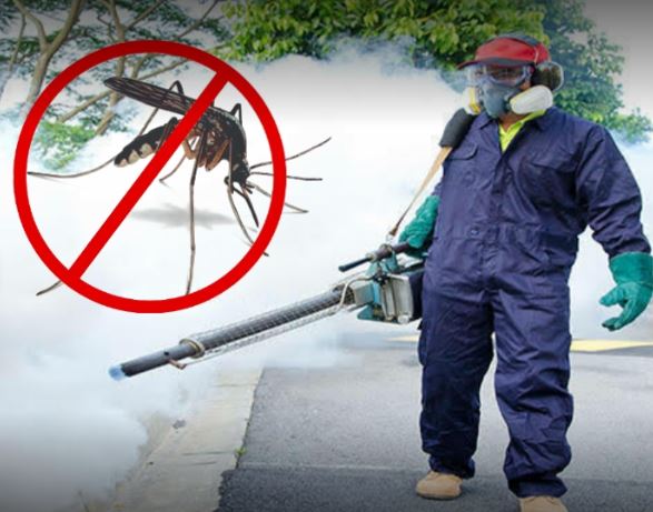 Brightness Pest Control Services