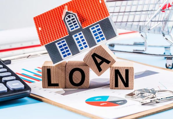 Satluj Cash and Savings Nidhi Ltd