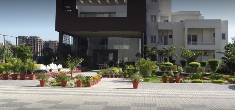Motia Group