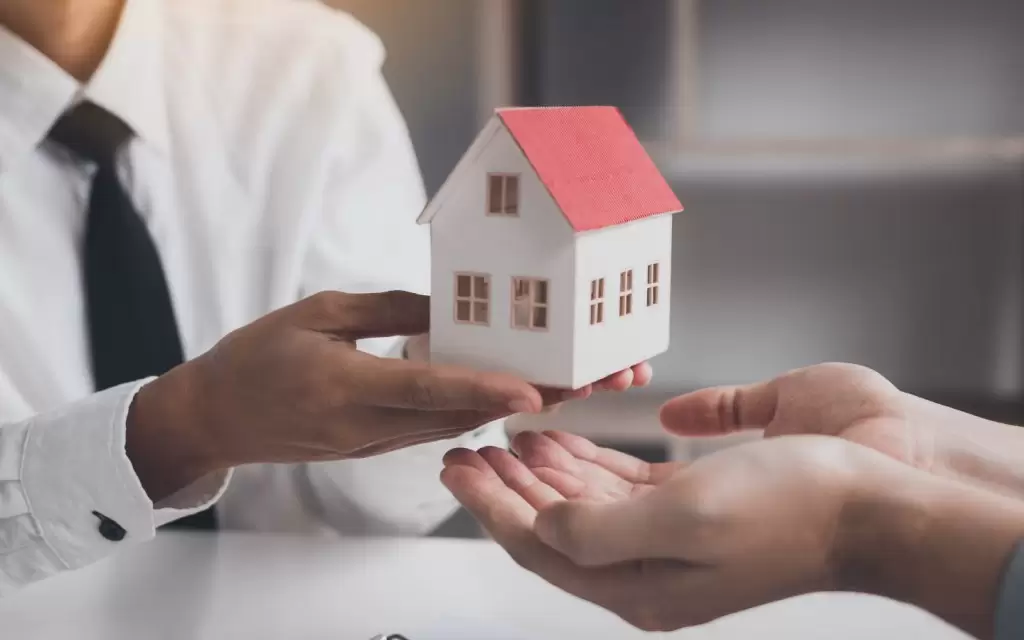 Mann Property Advisor