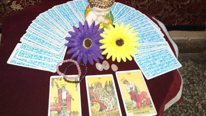 Astro Siddar Astrology