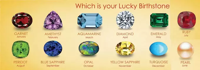 Nirwana Astrologer & Vastu