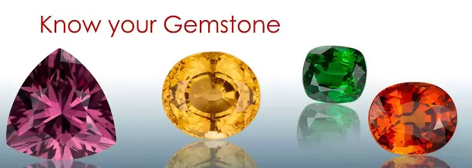 Nirwana Astrologer & Vastu