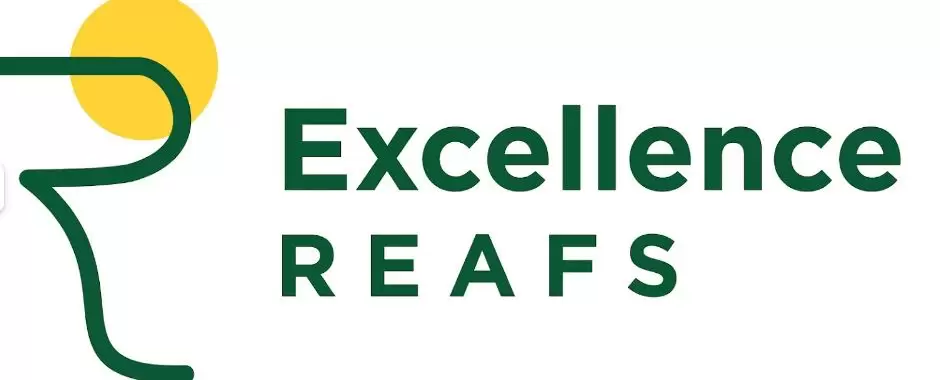 Excellence Reafs Private Limited
