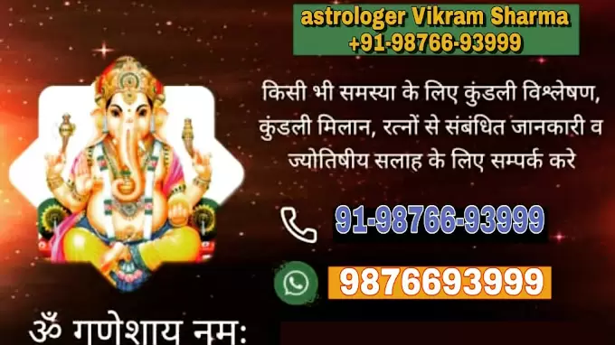 Bhrigu Astrologer