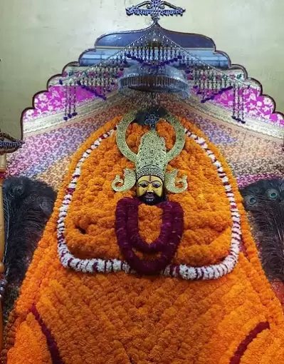 Bhrigu Astrologer