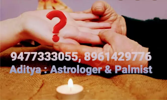 Aditya Astrology Tantra And Palmistry Expert