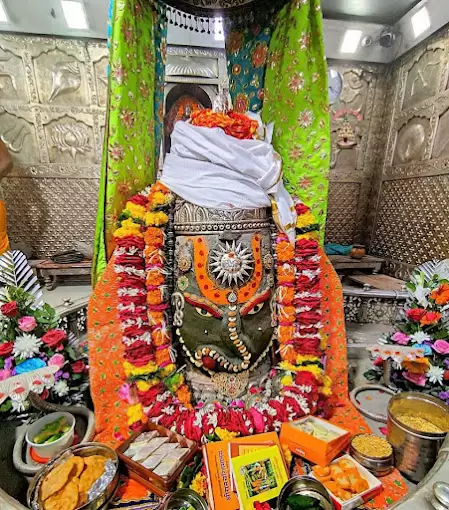 Yogi Astrologer