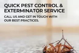 Krypton Pest Control Pvt Ltd