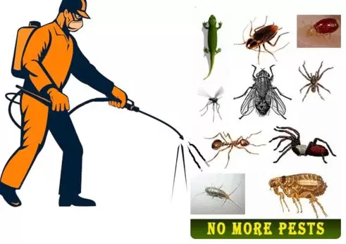 Seth Pest Control Company