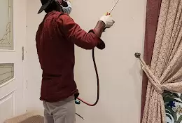 Vista Pest Control
