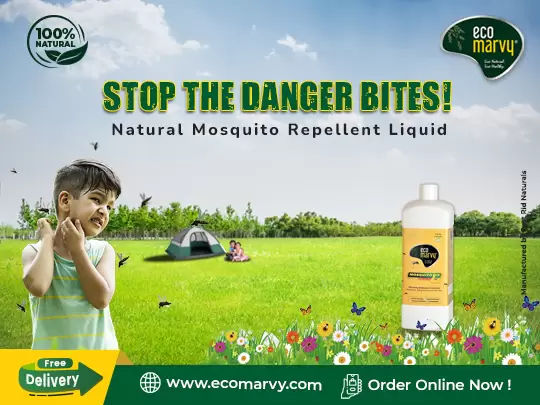 Pest Control