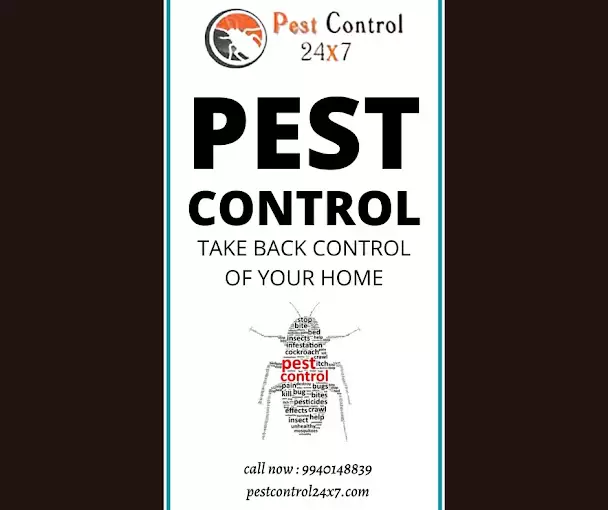 Pest Control 24x7