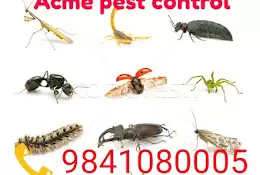 Acme Pest Control