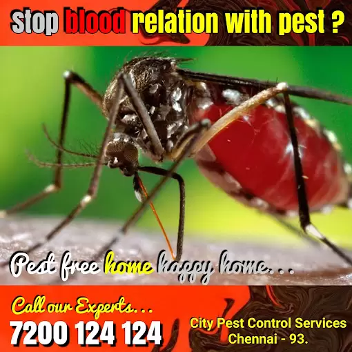 City Pest Control Services