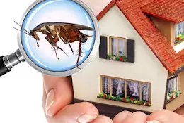 Aavinash Pest Control