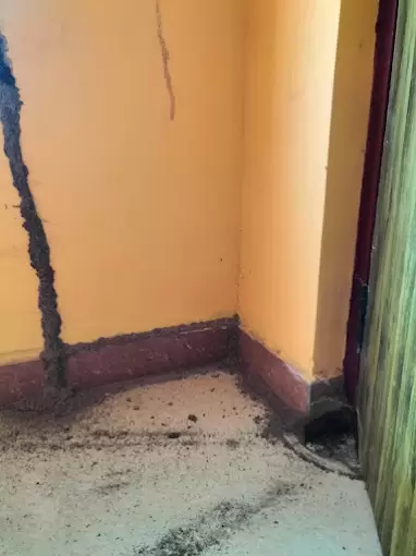 Aarthi Pest Control