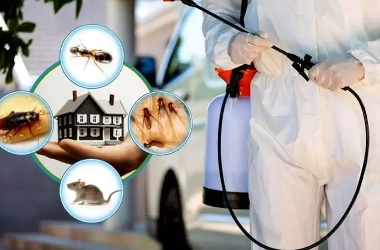 Ever Yours Pest Control Pvt Ltd