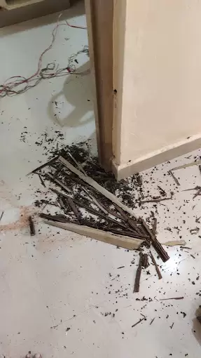 Mycare Pest Control