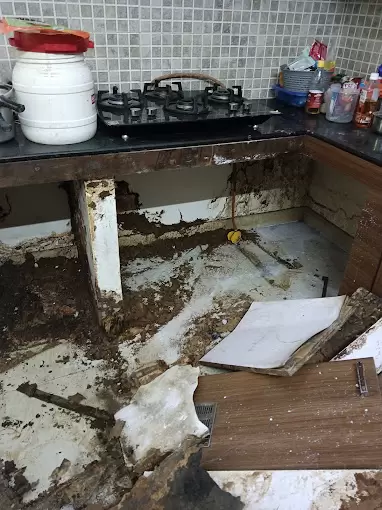 Metro Pest Control