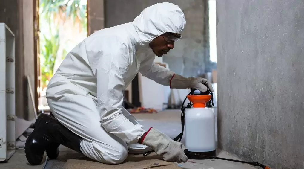 HCSSONV Pest Control Services