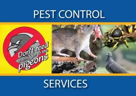 Pest Control International Services