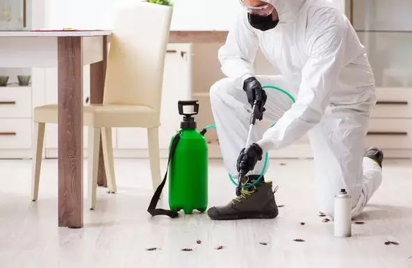 Pest Control Services