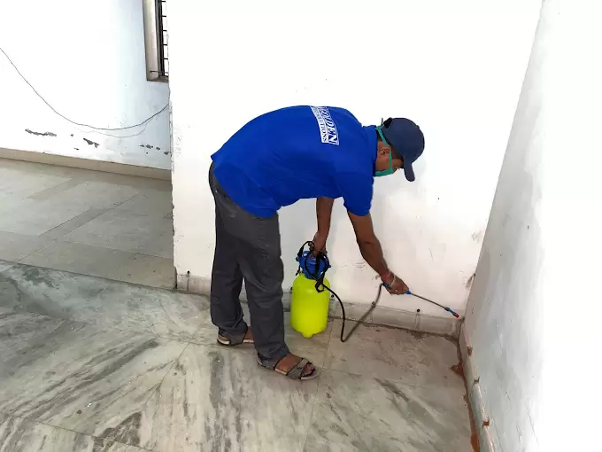 Golden Pest Solutions