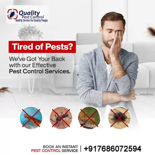Quality Pest Control