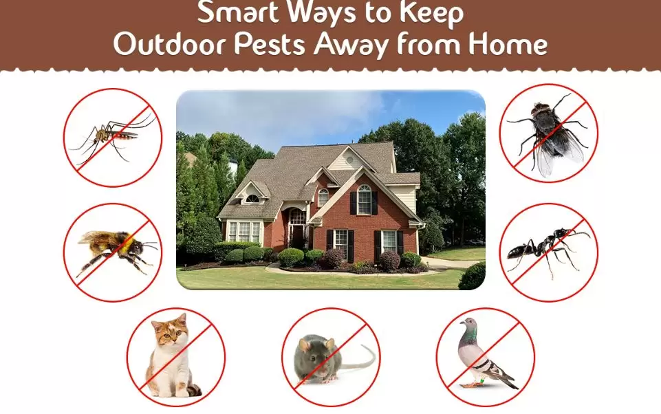 Marys Pest Control