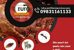 Eurow Care & Cure LLP