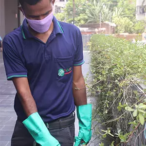 Ecoscience Pest Management Pvt Ltd