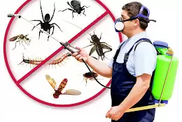 Pest Kill India Pvt Ltd