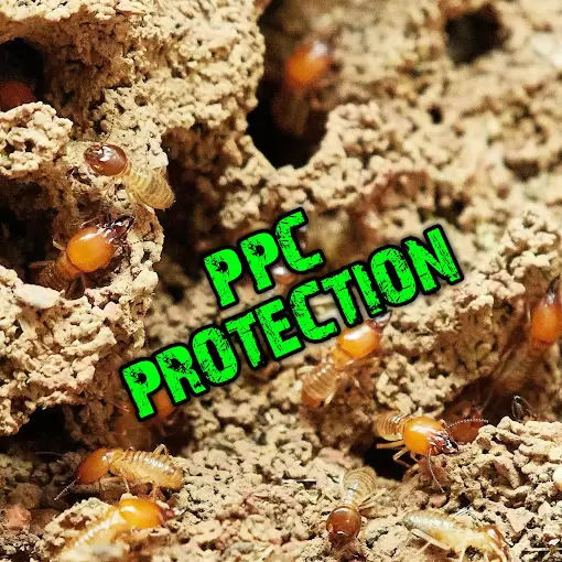 Pester Pest Control