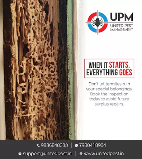 United Pest Management