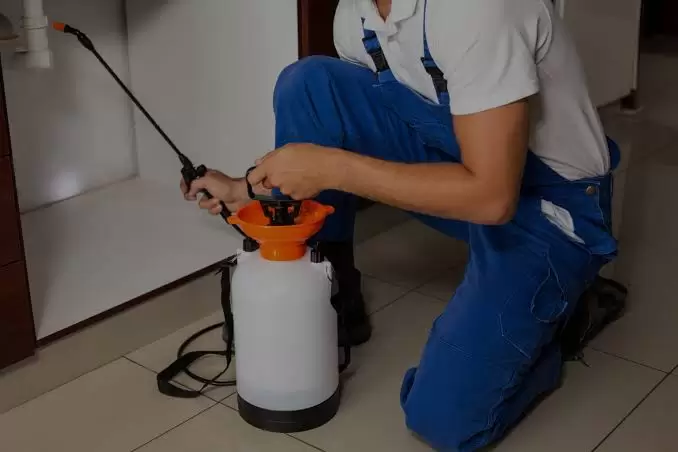 Mondal Pest Control