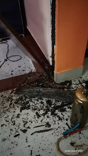City Pest Control Service