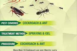 Sp Pest Control & Cleaning
