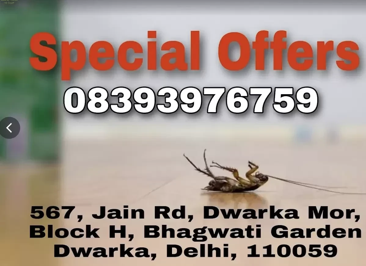 Natural Herbal Pest Control