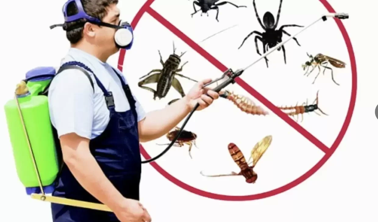 VP Pest Control