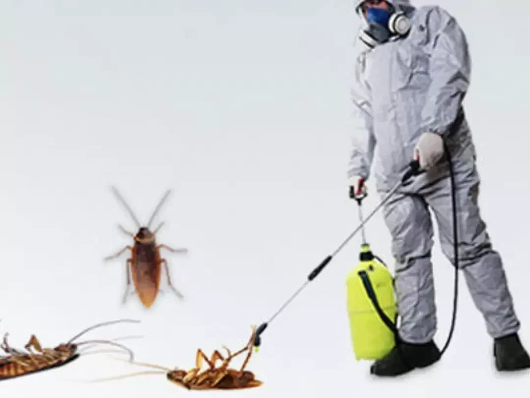Mehra Trader & Pest Care