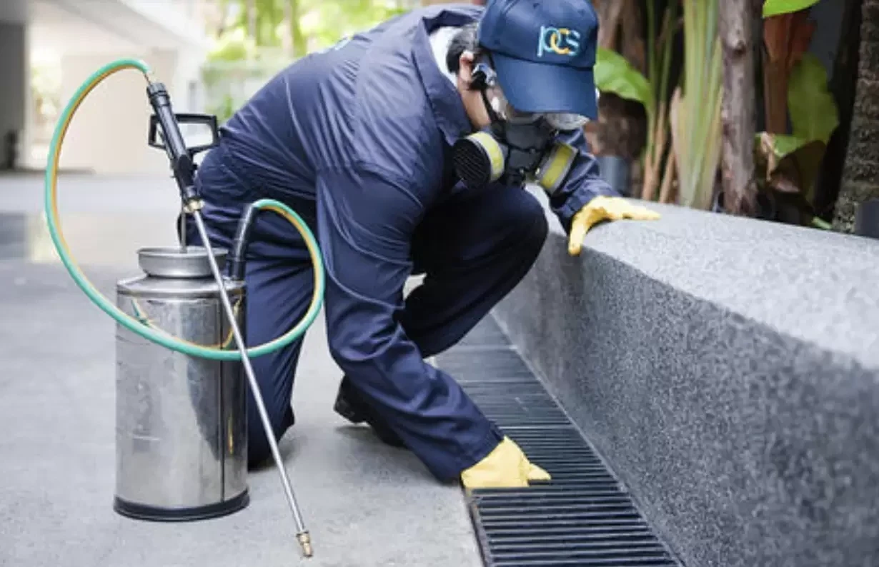 Anita Pest Control Services