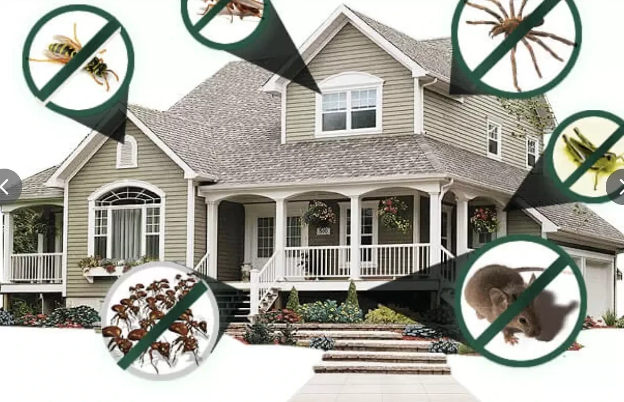Anita Pest Control Services
